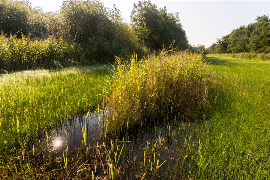 Bericht Subsidie voor Brabantse agrarische natuur en landschap bekijken